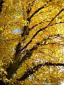 pix 041